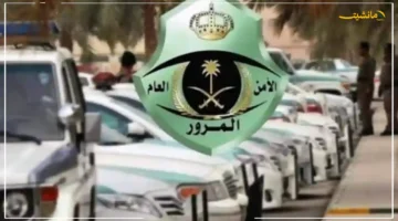 بشرى للمواطنين.. المرور يحسم الجدل حول تسهيلات نقل ملكية المركبات داخل الأسرة 1